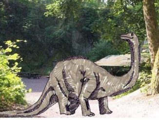 Dinosaur at Nassenplatz, Siebengebirge (collage). Dinosaurs Siebengebirge?