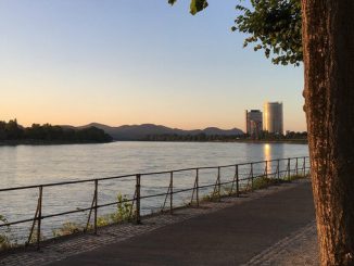 Rhine banks at Bonn, early morning