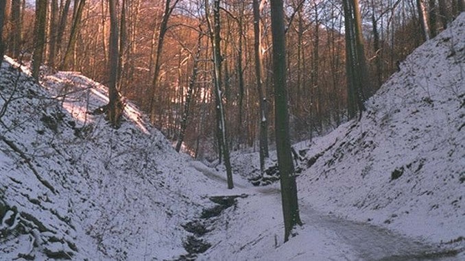 Nightingale Valley in winter